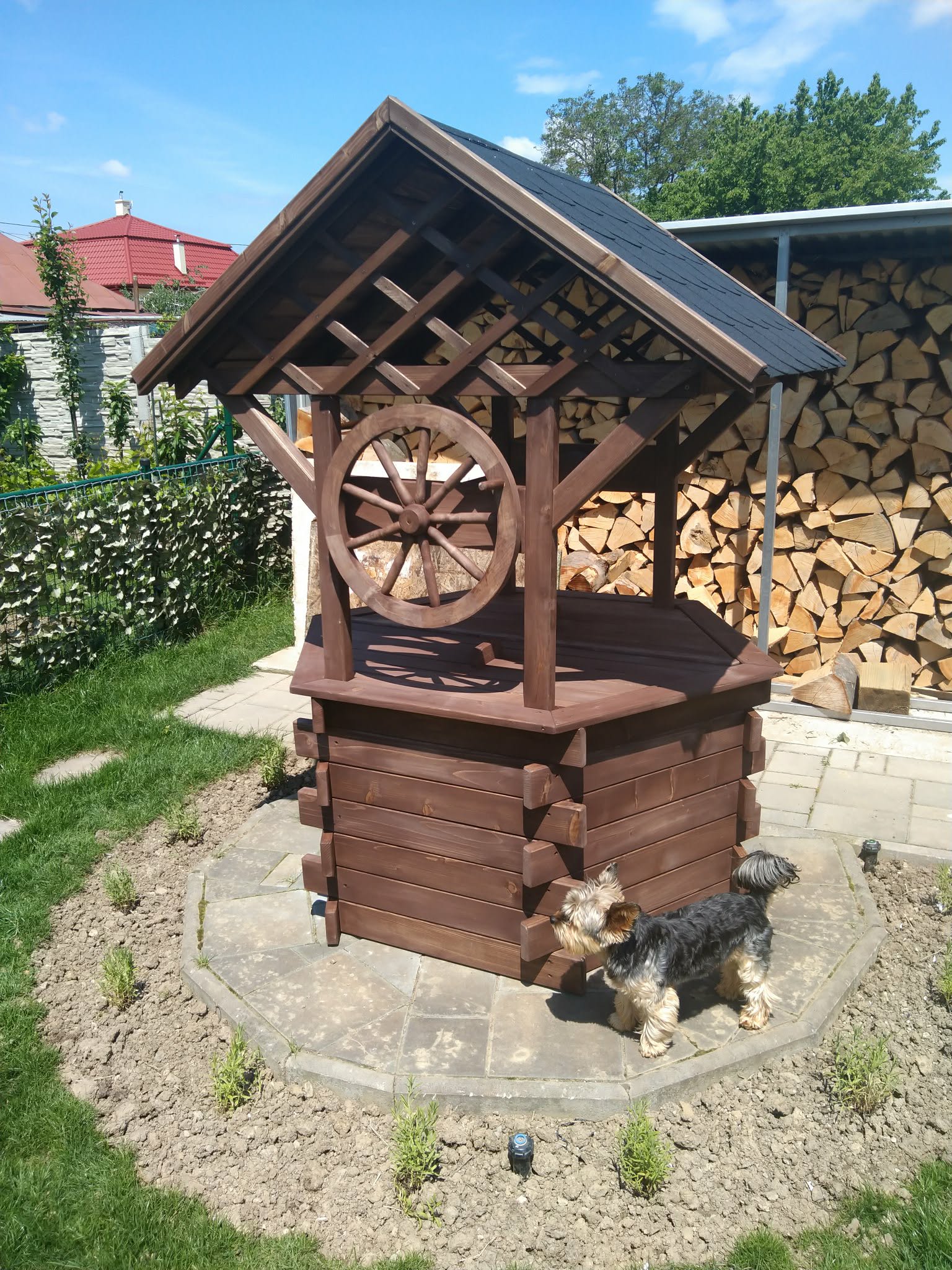 Studňa